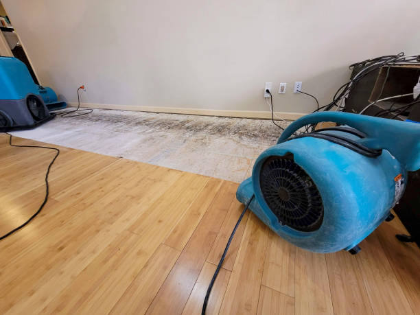 Professional Structural Drying technician working in Sugar City, ID